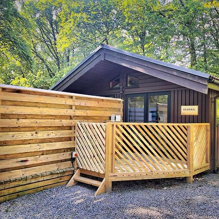 The Squirrel Lodge - Hot Tub - Pet Friendly - Pembrokeshire-Tenby Кармартен Экстерьер фото